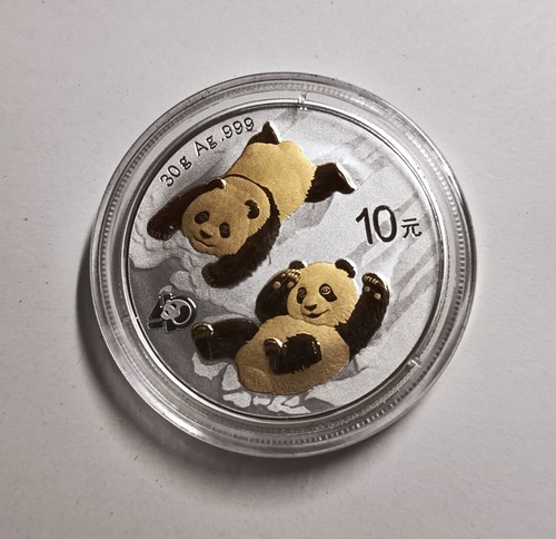 Yuan 2022 china panda - china,