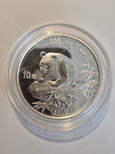 China panda 1999 - panda,